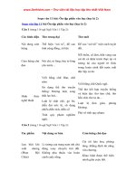 soan van 11 bai on tap phan van hoc hoc ki 2 