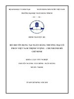 Khóa luận tốt nghiệp rủi ro tín dụng tại ngân hàng thương mại cổ phần việt nam thịnh vượng – chi nhánh hồ chí minh 
