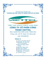 (TIỂU LUẬN) phân tích môi trường bên ngoài (thông qua ma trận efe, cpm) công ty cổ phần công trình viettel phân tích kết hợp   hoạch định chiến lược phù hợp cho công ty (sử dụng ma trận swot, space và qspm)  