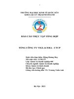 (TIỂU LUẬN) báo cáo THỰC tập TỔNG hợp tại TỔNG CÔNG TY VIGLACERA   CTCP 
