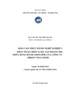 (TIỂU LUẬN) báo cáo THỰC HÀNH NGHỀ NGHIỆP 1 PHÂN TÍCH CHIẾN lược sản PHẨM CHO NHÃN HÀNG BÁNH CHOCOPIE của CÔNG TY ORION VINA FOOD 