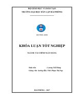 Khóa luận giải pháp nâng cao hiệu quả hoạt động tín dụng tại ngân hàng thương mại cổ phần đông nam á – chi nhánh hải phòng 