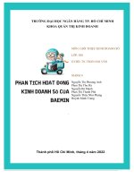 (TIỂU LUẬN) PHÂN TÍCH HO NG ạt độ KINH DOANH s c ố ủa BAEMIN 
