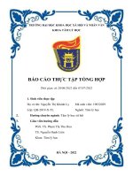 (TIỂU LUẬN) báo cáo THỰC tập TỔNG hợp trường nội trú hy vọng – hope school tại hội liên hiệp phụ nữ thành phố đà nẵng 