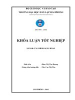 Khoá luận tốt nghiệp giải pháp nâng cao hiệu quả huy động vốn tiền gửi tại ngân hàng thương mại cổ phần nam việt – chi nhánh hải phòng 