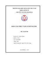 (TIỂU LUẬN) báo cáo THỰC tập cơ sở NGÀNH CÔNG TY TNHH vận CHUYỂN HÀNG CÔNG NGHỆ CAO (TRANSVINA) 