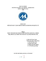 (TIỂU LUẬN) PHÂN TÍCH rủi RO TRONG môi TRƯỜNG KINH tế, CHÍNH TRỊ, PHÁP LUẬT đối với VINFAST tại THỊ TRƯỜNG mỹ 