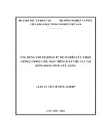 Ứng dụng chỉ thị phân tử để nghiên cứu chọn giống chịu mặn trên quần thể lúa tại đồng bằng sông cửu long 