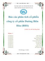 (TIỂU LUẬN) báo cáo phân tích cổ phiếu công ty cổ phần đường biên hòa (BHS) 