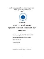 (TIỂU LUẬN) báo cáo THỰC tập NGHỀ NGHIỆP tại CÔNG TY TRÁCH NHIỆM hữu hạn COOKMIX 