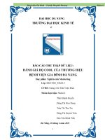 (TIỂU LUẬN) báo cáo THU THẬP dữ LIỆU ĐÁNH GIÁ độ COOL của THƯƠNG HIỆU BỆNH VIỆN GIA ĐÌNH đà NẴNG 