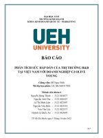 (TIỂU LUẬN) báo cáo PHÂN TÍCH sức hấp dẫn của THỊ TRƯỜNG hb tại VIỆT NAM với DOANH NGHIỆP CJ OLIVE YOUNG 