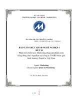 (TIỂU LUẬN) phân tích chiến lược marketing dòng sản phẩm nước uống đóng chai aquafina của công ty TNHH nước giải khát suntory pepsico việt nam 