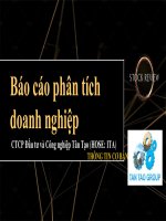 (TIỂU LUẬN) báo cáo phân tích doanh nghiệp CTCP đầu tư và công nghiệp tân tạo (HOSE ITA) 