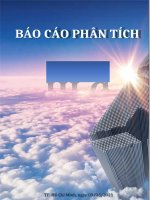 (TIỂU LUẬN) báo cáo phân tích hpg 