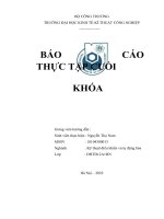 (TIỂU LUẬN) báo cáo THỰC tập CUỐI KHÓA tai công ty TNHH sản xuất công nghệ mỹ 