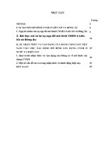 bài học về sự sụp đổ mô HÌNH CHỦ NGHĨA xã hội HIỆN THỰC ở LIÊN xô, ĐÔNG âu với VIỆC xây DỰNG mô HÌNH CNXH ở VIỆT NAM HIỆN NAY