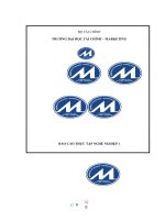 (TIỂU LUẬN) PHÂN TÍCH CHIẾN lược sản PHẨM  DỊCH vụ của CÔNG TY TNHH L’AMOUR LASER CENTER 