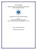 (TIỂU LUẬN) báo cáo PHÂN TÍCH CHỨNG KHOÁN CÔNG TY cổ PHẦN tập đoàn đầu tƣ địa ốc NO VA (NVL) 