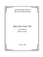 (TIỂU LUẬN) báo cáo THỰC tập GIẢI PHÁP xây DỰNG các TRANG THƯƠNG mại điện tử CHO CÔNG TY cổ PHẦN MICROCOM 