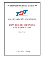 (TIỂU LUẬN) báo cáo NHÓM môn KINH tế VI mô PHÂN TÍCH THỊ TRƯỜNG XE máy điện VINFAST 