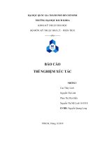(TIỂU LUẬN) báo cáo THÍ NGHIỆM xúc tác  bài 1 PHẢN ỨNG CRACKING ALKANE BẰNG xúc tác ACID rắn 