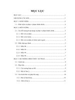 (TIỂU LUẬN) khái niệm xử phạt vi phạm hành chính 