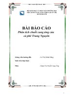 (TIỂU LUẬN) báo cáo phân tích chuỗi cung ứng của cà phê trung nguyên 