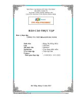 (TIỂU LUẬN) báo cáo THỰC tập đơn vị thực tập CÔNG TY CMT DRAGON đà NẴNG 