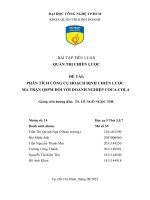 tiểu luận quản trị chiến lược đề tài PHÂN TÍCH CÔNG CỤ HOẠCH ĐỊNH CHIẾN LƯỢC - MA TRẬN QSPM ĐỐI VỚI DOANH NGHIỆP COCA-COLA’