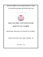 (TIỂU LUẬN) báo cáo THỰC tập cơ sở NGÀNH KINH tế vận tải BIỂN tổng quan về chức năng, nhiệm vụ của công ty vận tải biển, cảng biển giới thiệu về cảng TRANSVINA 