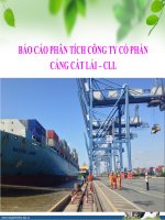 (TIỂU LUẬN) báo cáo PHÂN TÍCH CÔNG TY cổ PHẦN CẢNG cát lái – CLL 