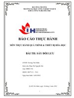 (TIỂU LUẬN) báo cáo THỰC HÀNH môn THỰC HÀNH QUÁ TRÌNH  THIẾT bị hóa học bài TH sấy đối lưu 