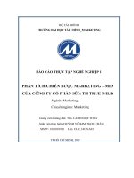 (TIỂU LUẬN) báo cáo THỰC tập NGHỀ NGHIỆP 1 PHÂN TÍCH CHIẾN lược MARKETING – MIX của CÔNG TY cổ PHẦN sữa TH TRUE MILK 