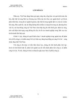 (TIỂU LUẬN) báo cáo PHÂN TÍCH CTCP CẢNG cát lái   CLL 