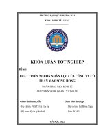 Khóa luận tốt nghiệp kinh tế phát triển nguồn nhân lực của công ty cổ phần may sông hồng 