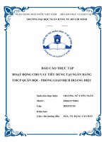(TIỂU LUẬN) báo cáo THỰC tập HOẠT ĐỘNG CHO VAY TIÊU DÙNG tại NGÂN HÀNG TMCP QUÂN đội – PHÒNG GIAO DỊCH HOÀNG DIỆU 