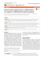 human brain arteriovenous malformation an analysis of differential expressed genes 