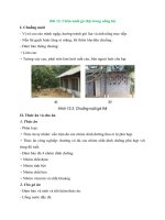 ly thuyet bai 12 chan nuoi ga thit trong nong ho chi tiet cong nghe lo 