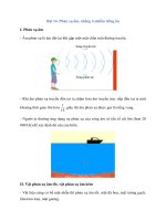 ly thuyet khoa hoc tu nhien 7 bai 14 phan xa am chong o nhiem tieng on 