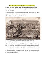 ly thuyet lich su 7 bai 3 phong trao van hoa phuc hung va cai cach ton 