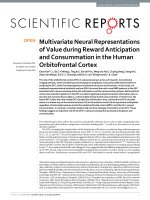 multivariate neural representations of value during reward anticipation and consummation in the human orbitofrontal cortex 