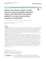 global transcriptome analysis reveals extensive gene remodeling alternative splicing and differential transcription profiles in non seed vascular plant selaginella moellendorffii 