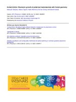 invited article plasmonic growth of patterned metamaterials with fractal geometry 