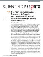 geometry and length scale dependent deformation and recovery on micro and nanopatterned shape memory polymer surfaces 