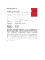 sio 2 supported fe femn colloids fischer tropsch synthesis on 3d model catalysts 