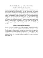 top 10 mau tom tat chiec dua than hay ngan gon ket noi tri thuc 