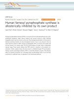 human farnesyl pyrophosphate synthase is allosterically inhibited by its own product 