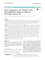 heme oxygenase is not involved in the anti proliferative effects of statins on pancreatic cancer cells 