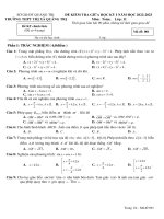 de giua ky 1 toan 11 nam 2022 2023 truong thpt thi xa quang tri 